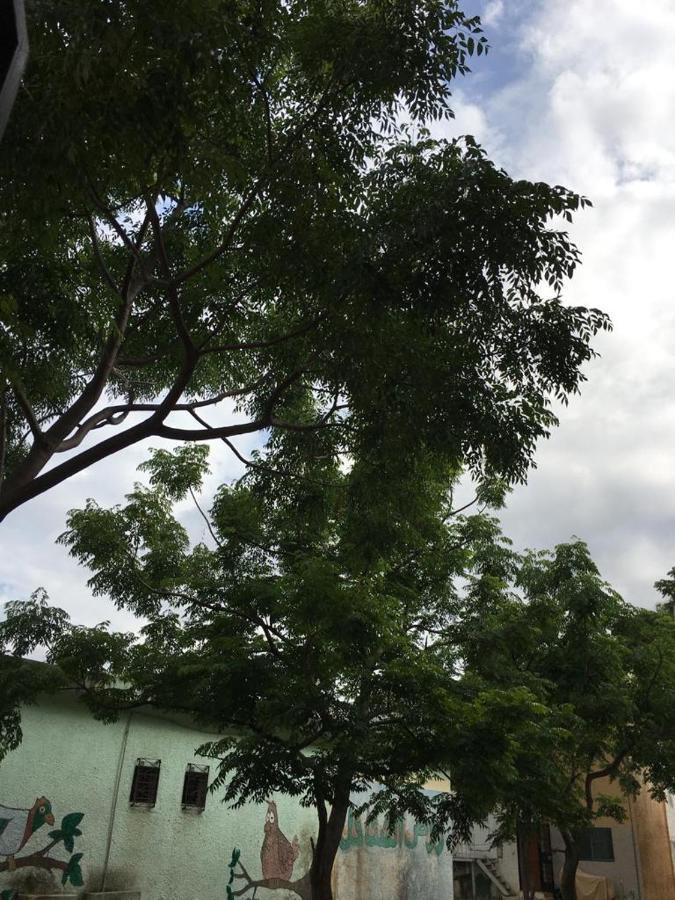 Duplex Daire Tanca Dış mekan fotoğraf